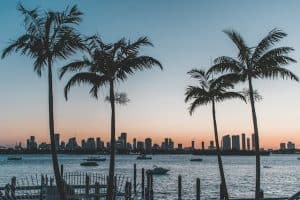 view of Miami FL across bay and palm trees